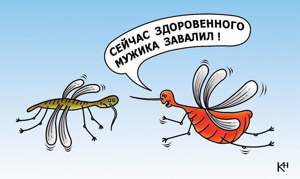 Прикольные картинки про комаров