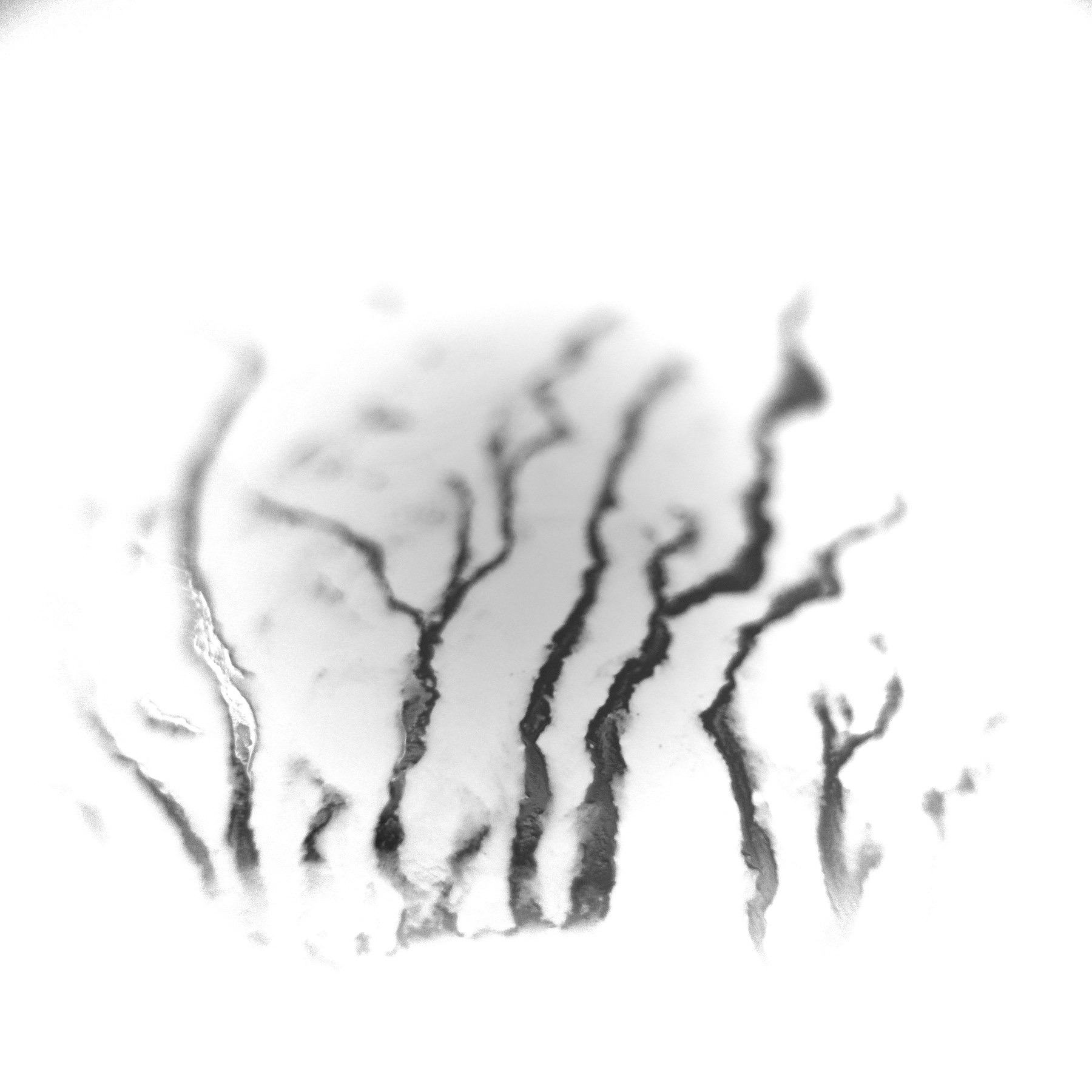 Дальняя дорога