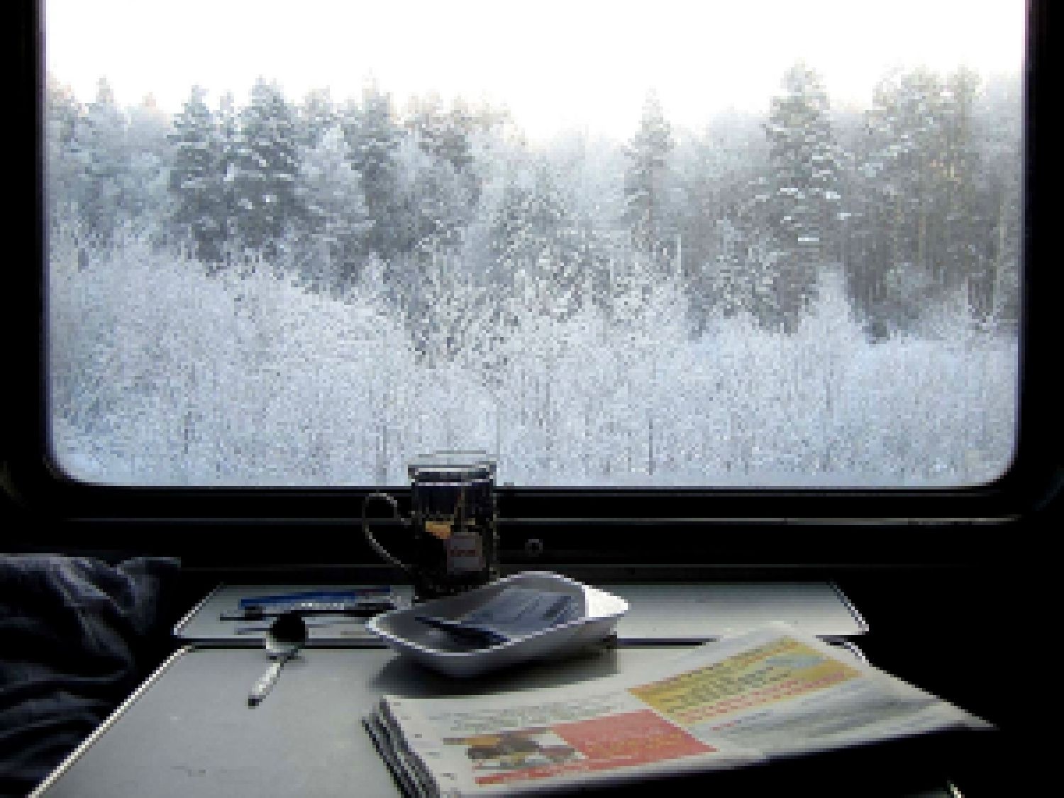 Вагон вошла она улыбнулась из окна. Вид из окна поезда. Вид из окна поезда зима. Окно поезда. Окно вагона.