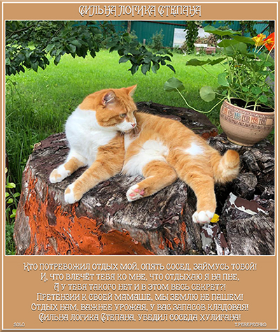 Сильна логика Степана