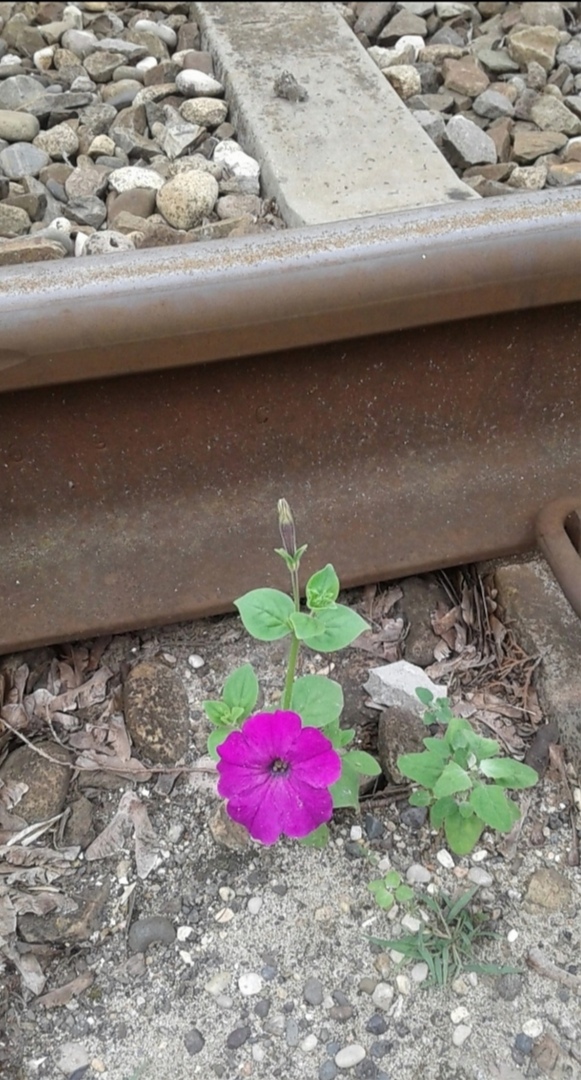 Другое время