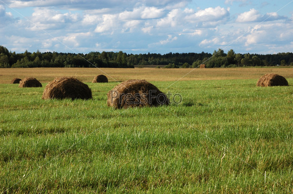 Надежд острова