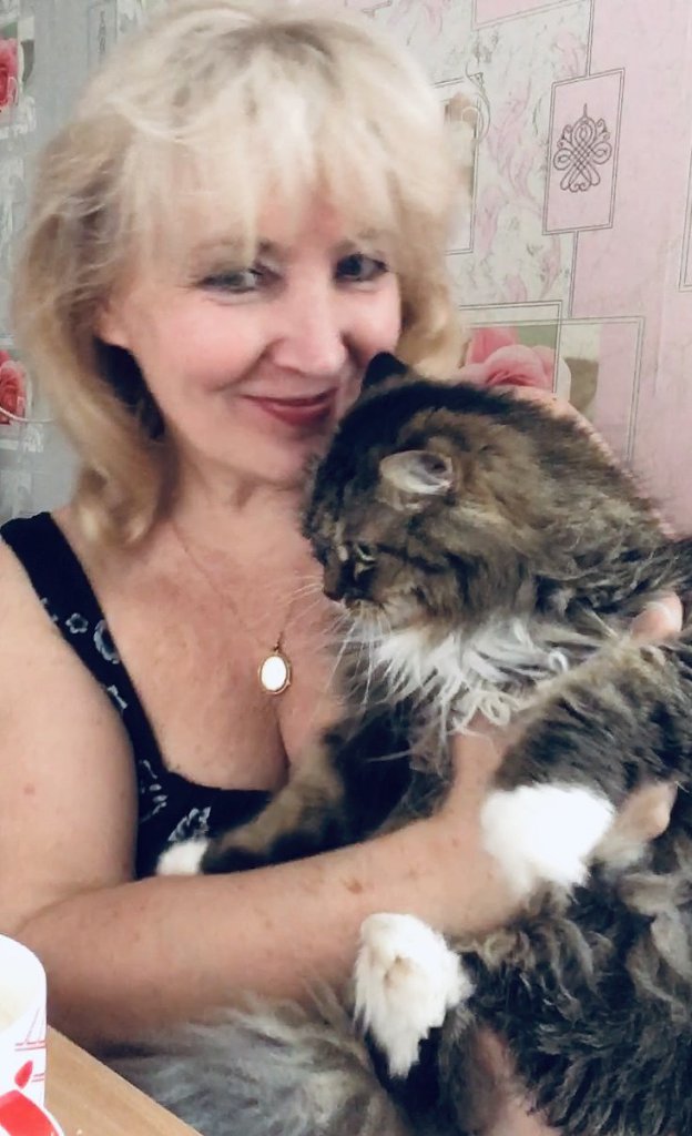 Серый кот. Посвящение С. Т. 7701