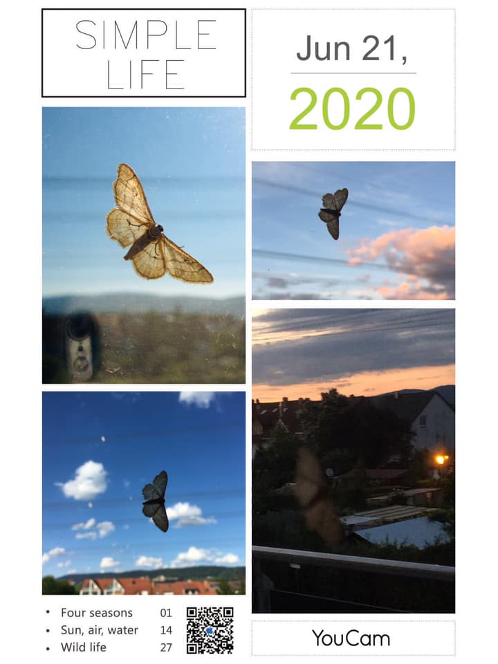 Догорает закат...