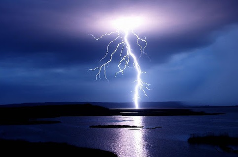 Густой стеной...