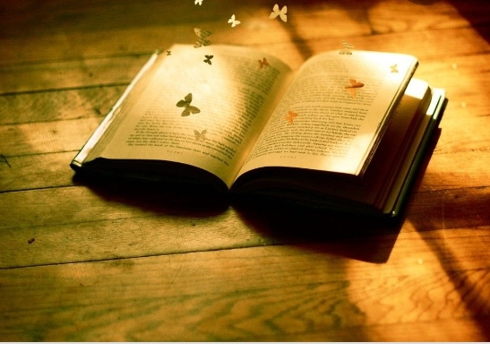 В старой книге