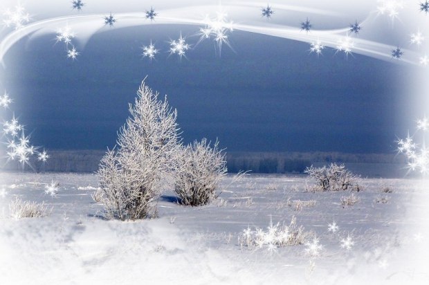 Кружились белые снежинки