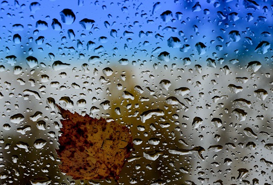 Одинокая капля