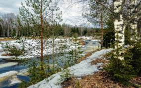 Ещё снега белели