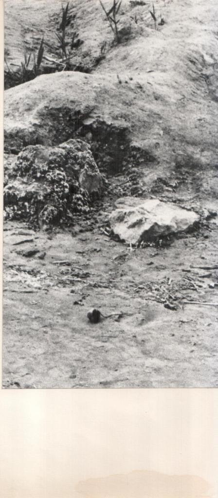 Из Цикла Картинки Прошлого 24