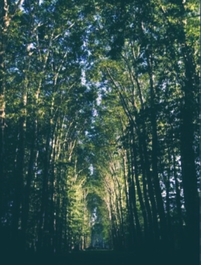 Такое чувство