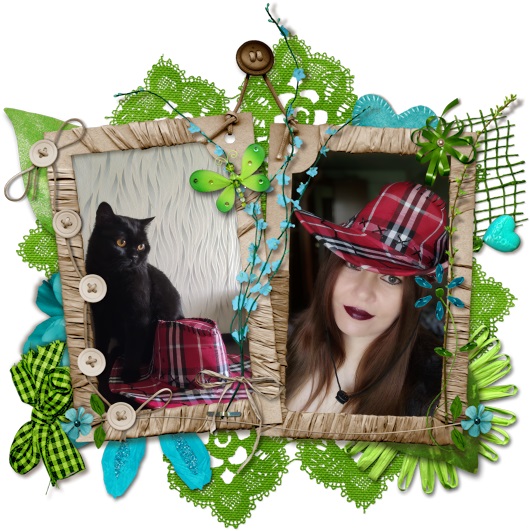 Ковбойская. Стихи кота Василия, цикл стихов