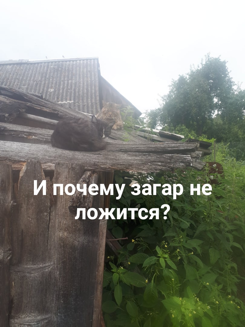 Броженье судьбы