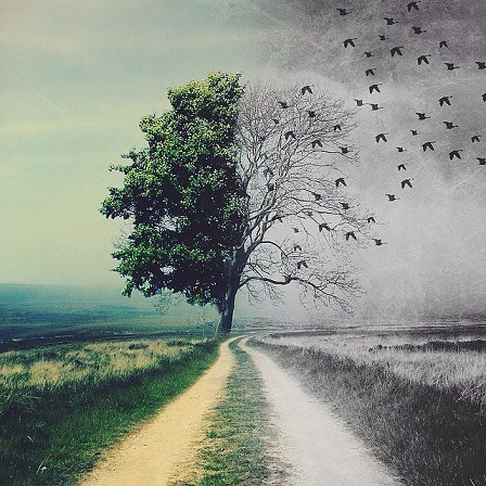 А Вы поверили, что все пройдет