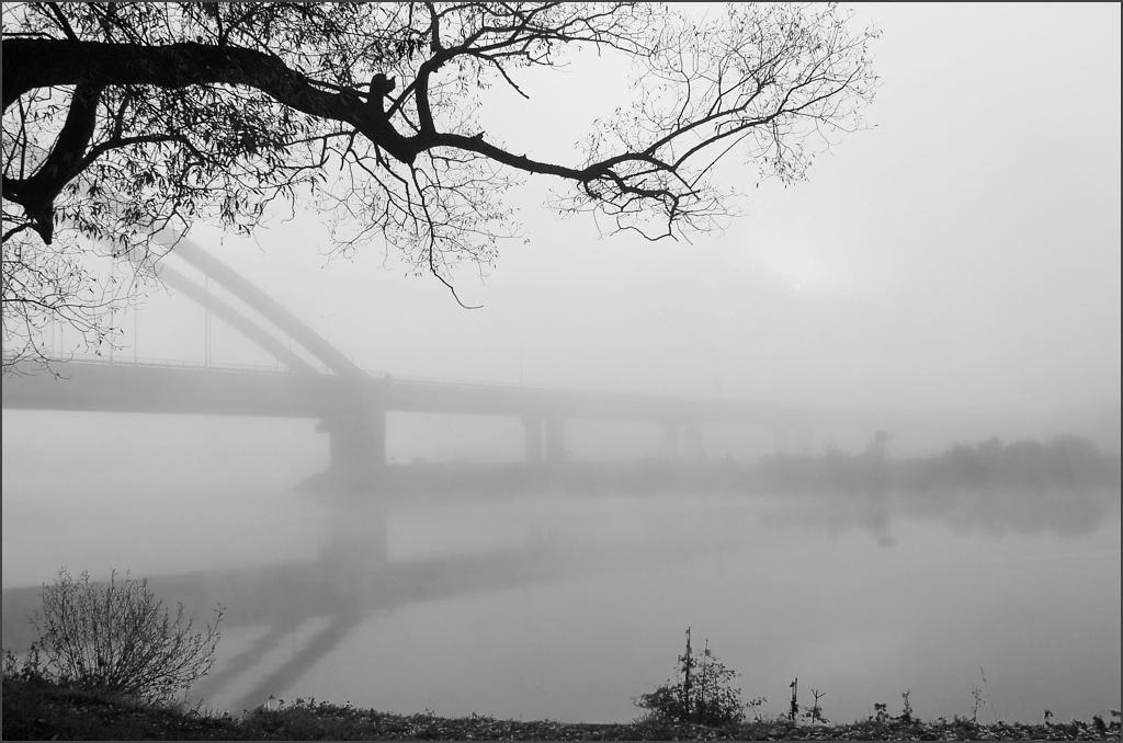 Туман (Галина Богданович) / Стихи.ру