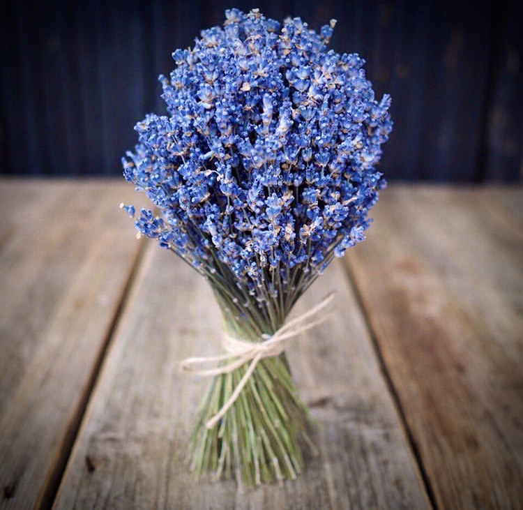 А мудрость с опытом приходит