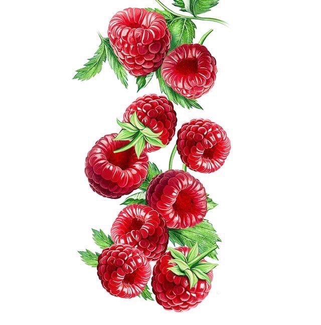 Малина (Ирина Курманалина) / Стихи.ру