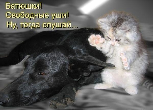 Свободные уши