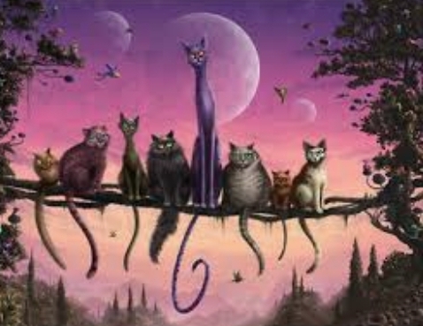 Кошкино небо