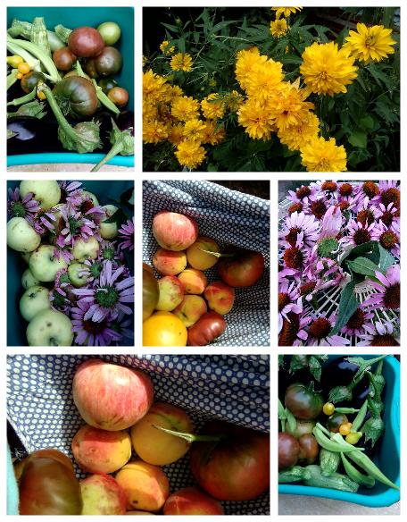 И новый август на пороге