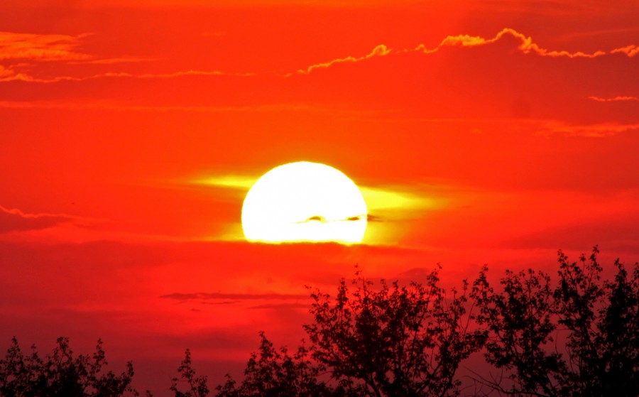 солнечная ночь фото. солнце ночи. сегодня ночью солнце. сегодня ночью солнце. фото в вечернее время.