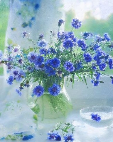 Двери любви