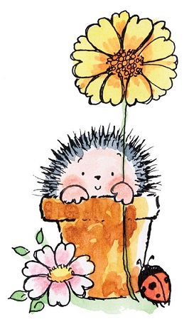 С пуговкою на носу