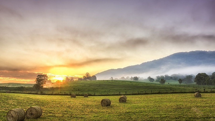 Август до осени подсчитывает дни