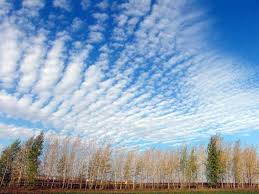 Взгляд из прошлого