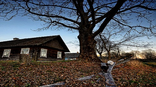 Одинокое местечко (Семён Краснопольский) / Стихи.ру