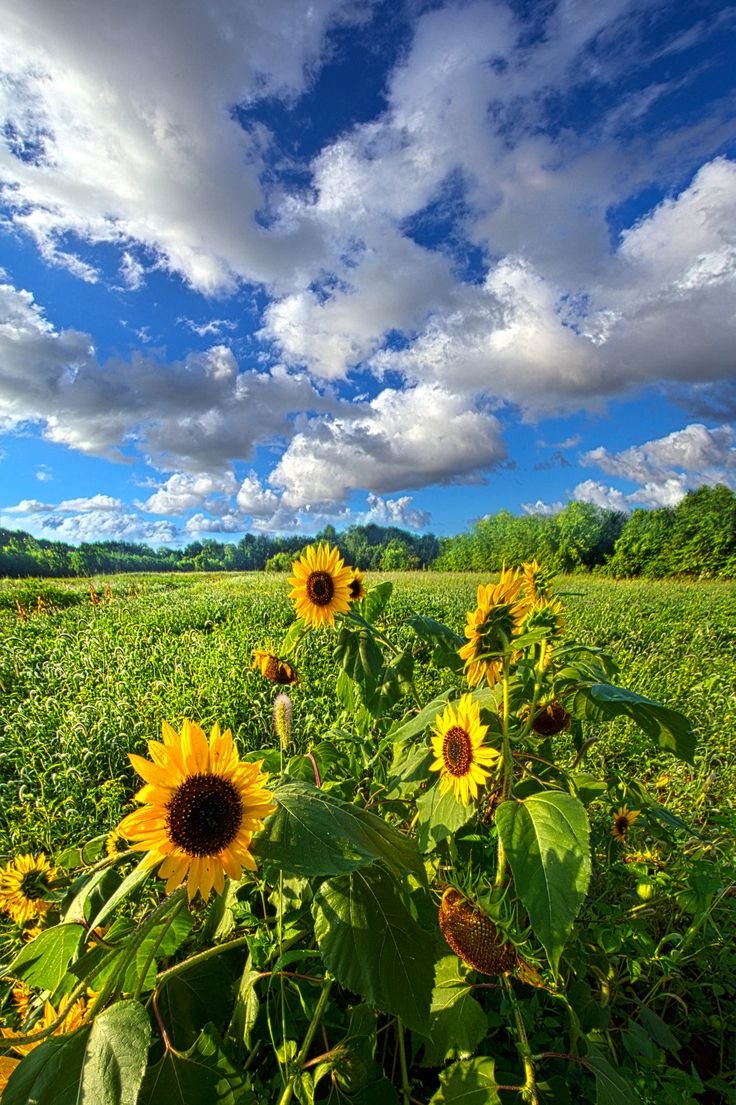 
Самые Красивые Лета