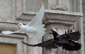 Жила ворона матершинница