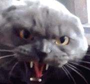 В тебе причина