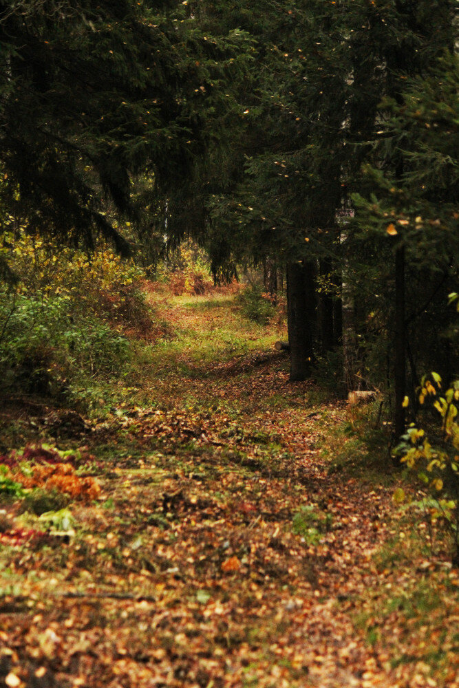 Мать природа