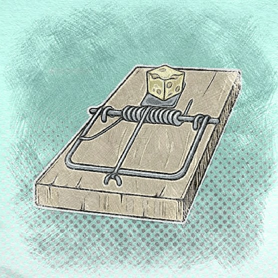 Бесплатный сыр