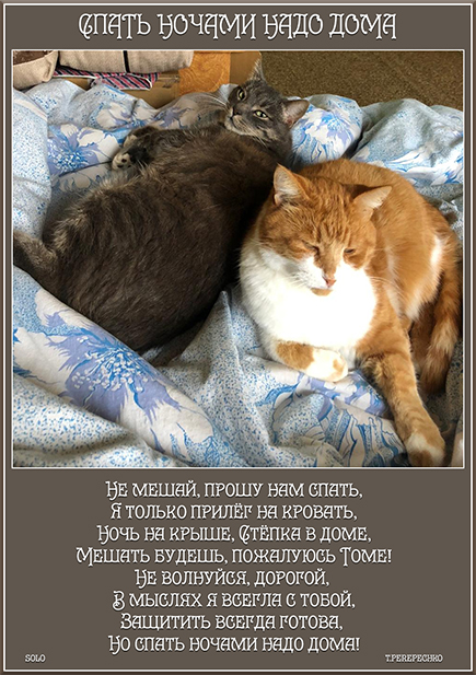 Спать ночами надо дома