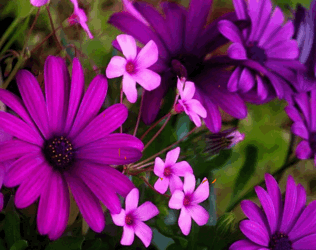 Жизни радости туда придут