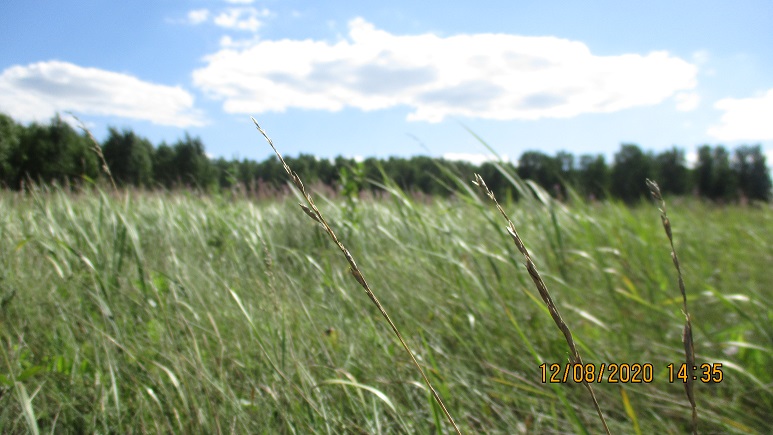 В растущем нетерпении