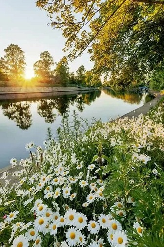 Летний вечер живучий 2