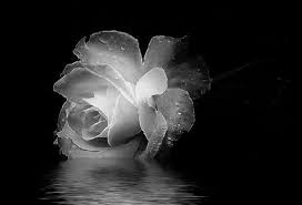 Ты была моей лучшей подругою