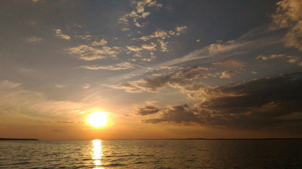 Чувственное взаимопонимание (Александр Черноножкин) / Стихи.ру