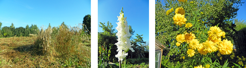 У Бога столько красоты!