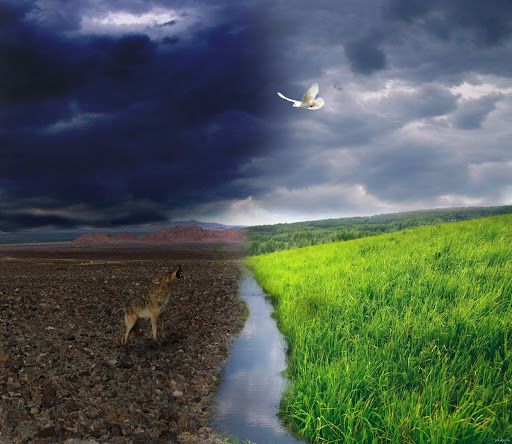 Результат воображения