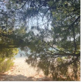 Клочёк земного рая