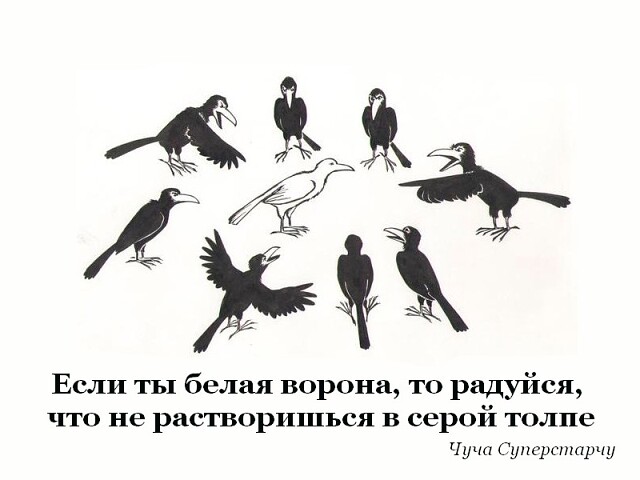 Черно белый ворон мем Белая ворона 2 (Чуча Суперстарчу) / Стихи.ру