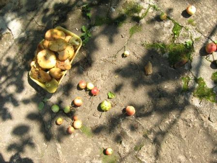 Августовская баллада