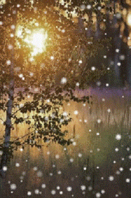 Семь пятниц на неделе