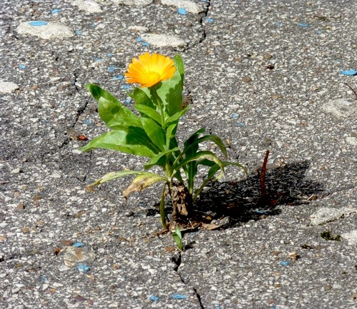 Невозможное- возможно?