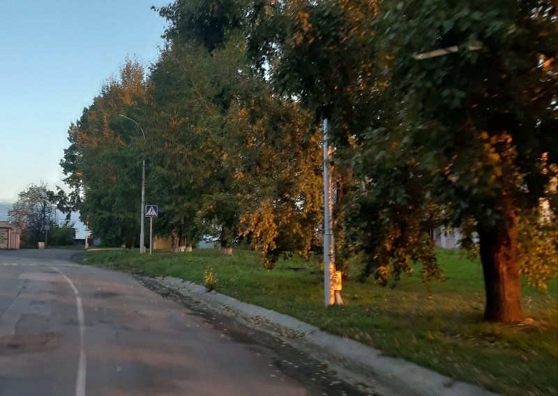 Осень - модельер