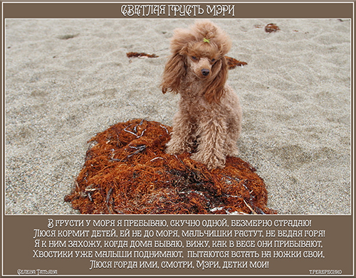 Светлая грусть Мэри